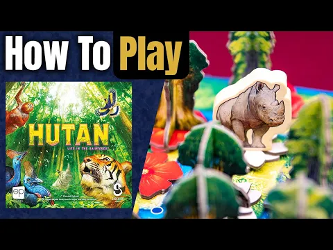 HUTAN: Life in the Rainforest | How to Play | Learn to Play in 6 Minutes!