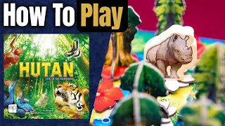 HUTAN: Life in the Rainforest | How to Play | Learn to Play in 6 Minutes!