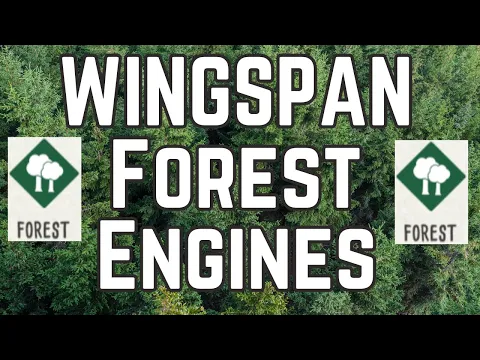 Deep Dive Forest Engine Analysis: Wingspan Strategy and Gameplay