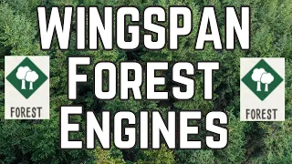 Deep Dive Forest Engine Analysis: Wingspan Strategy and Gameplay