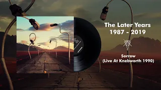 Pink Floyd - Sorrow (Live at Knebworth 1990)