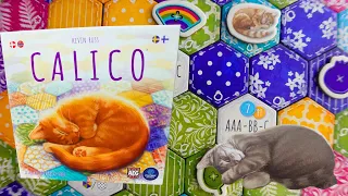 How to Play the board game Calico