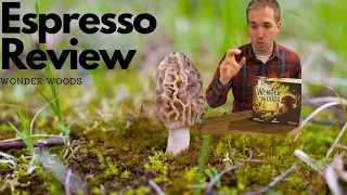 Espresso Review - Wonder Woods