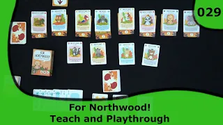 ForNorthWood! Solo Playthrough | 29 | Small Box, Big Game