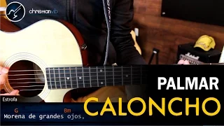 Como tocar Palmar de CALONCHO en Guitarra Acustica | Tutorial Christianvib