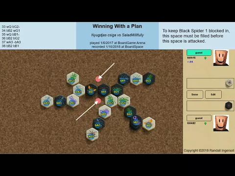 Winning with a Plan, Play Hive Like a Champion Video Series
