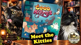 Meet the Good Kitties! | Adorable Cats & a Look at the Game