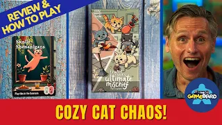 The CUTEST Board Game About Cat Mischief! Tiny Toe Beans Ultimate Mischief Review