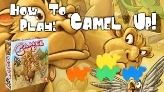 A Dicey "Walkthrough Review" of Camel Up!