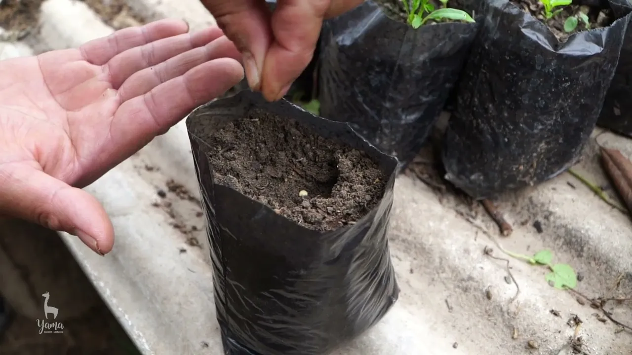 Video de YAMA SABORES AHUMADOS