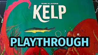Kelp: Shark vs. Octopus Board Game | Playthrough