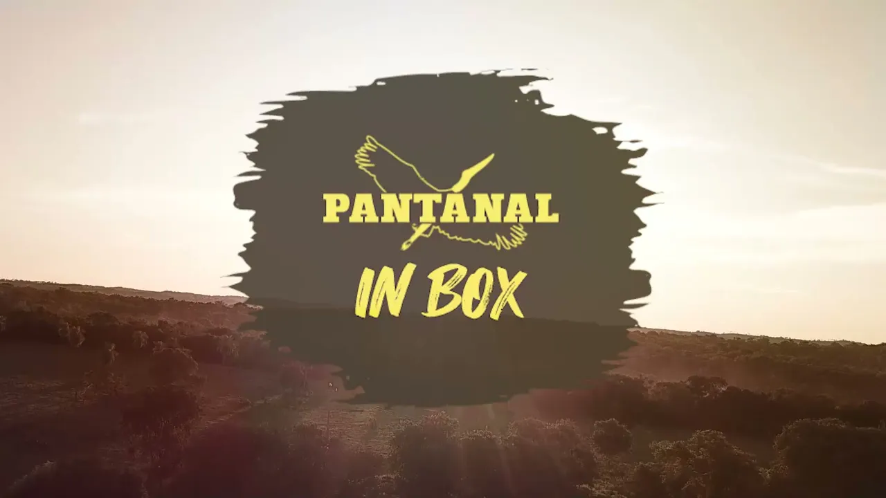 Vídeo de Pantanal In Box
