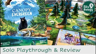 Canopy Evergreen Playthrough and Review | Bits & Biology