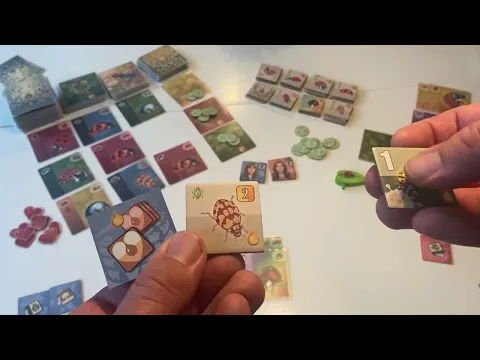 Ladybird : Feeding Tiles, Garden actions and the end of the game