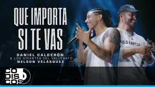 Que Importa Si Te Vas, Daniel Calderón, Los Gigantes Del Vallenato, Nelson Velásquez - Video