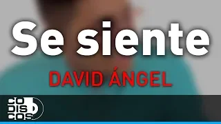 Se Siente, David Ángel - Audio