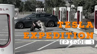 Starting Our Massive Model 3 Adventure By Road Tripping To Florida!