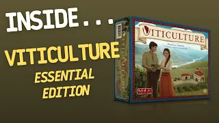 Inside…Viticulture Essential Edition stonemaier games (4K 60fps)