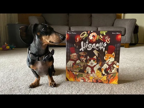 Hibachi - Live Playthrough with Before You Play