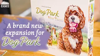 What's New in New Tricks? 🐕🪀 Discover the Dog Park Expansion