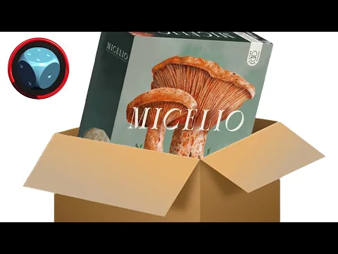 Micélio - Unboxing