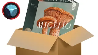 Micélio - Unboxing