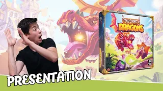 Taverns et Dragons - Présentation et Règles