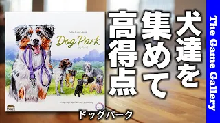 【ドックパーク】かわいらしさ満点の犬たちを集めて高得点 / TGG ボードゲーム