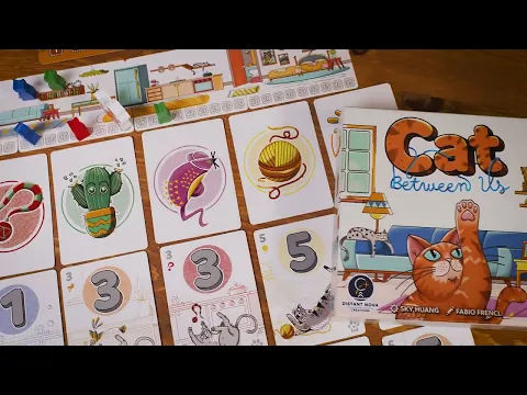 Cat Between Us | Overview