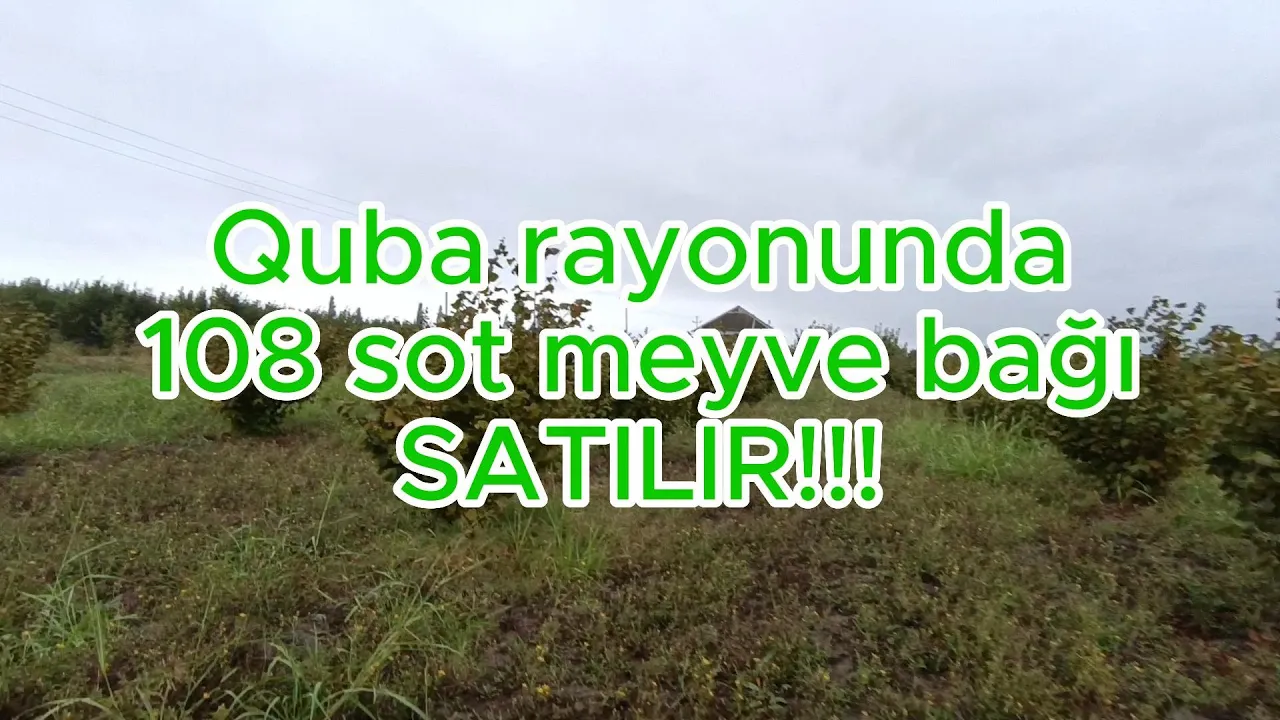 Satılır torpaq sahəsi108 sot, Quba- (əmlakın videosu)