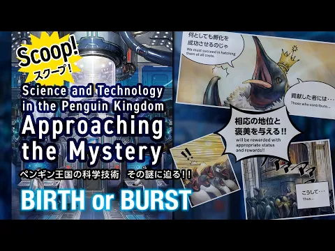 BIRTH or BURST STORY／ストーリー