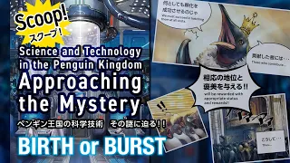 BIRTH or BURST STORY／ストーリー