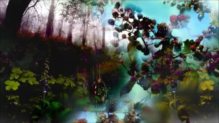 DKC2 Orchestral Remix: Forest Interlude & Stickerbush Symphony