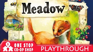 Meadow | Solo Playthrough and Impressions | With Mike