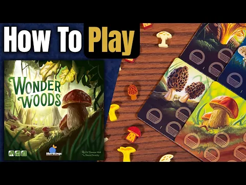 Wonder Woods | How To Play | Learn to Play in 4 Minutes!
