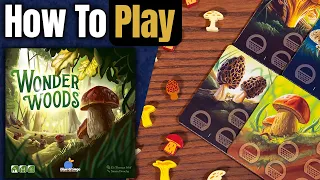 Wonder Woods | How To Play | Learn to Play in 4 Minutes!