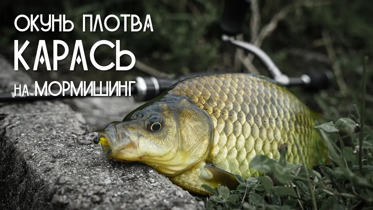 rybalka
