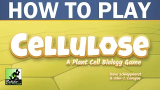 Rahdo Rules Runthrough►►► Cellulose: A Plant Biology Game