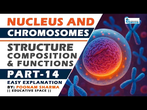 youtube-video-thumbnail