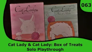 Cat Lady - Solo Playthrough | 063 | Small Box, Big Game