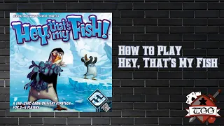 How to Play Hey, That’s My Fish! | Quick & Fun Family Strategy Board Game Tutorial