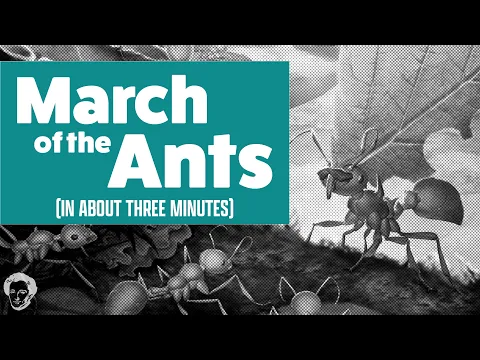 March of the ants in about 3 minutes
