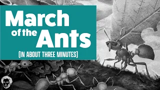 March of the ants in about 3 minutes