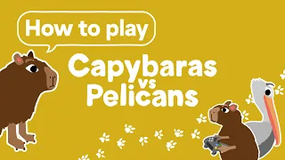 How to Play Capybaras vs Pelicans