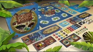 Pugly Pirates Explainer Overview