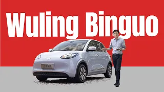 BYD Seagull's Head-on $12k EV Rival - Wuling Binguo Review