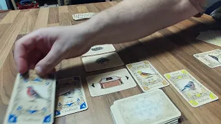 Piepmatz (Little Songbirds) Explanation and Playthru