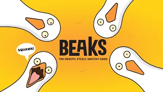 How To Play Beaks Card Game