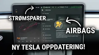 Ny Tesla-oppdatering gir oss Strømsparer, mer sikkerhet og forbedret hundemodus!