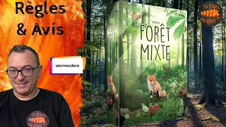 FORET MIXTE Règles & Avis